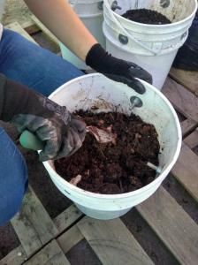 Proyecto Institucional Los Residuos, el Ambiente y la Humanidad